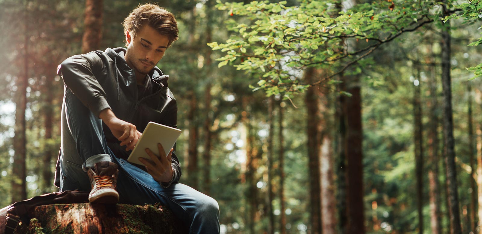 Young man using tablet in woods